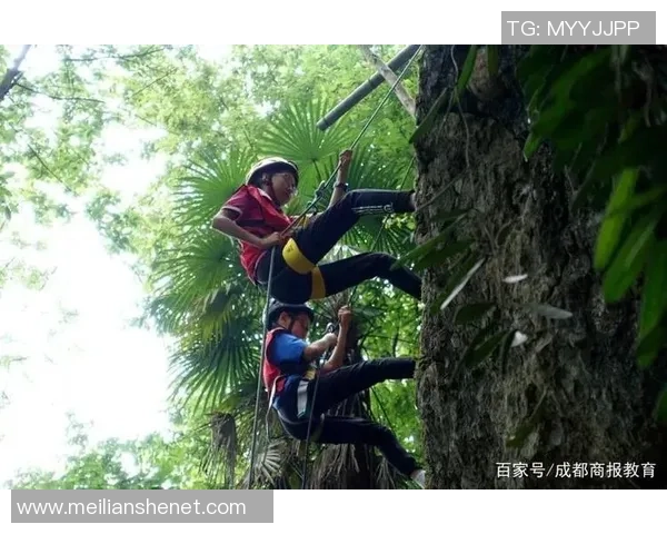 南京极限运动队力量争议引发热议运动员安全与竞技精神的双重考验