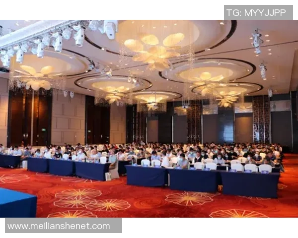 南京足球队的转型之路：从传统到现代的全新革新探索